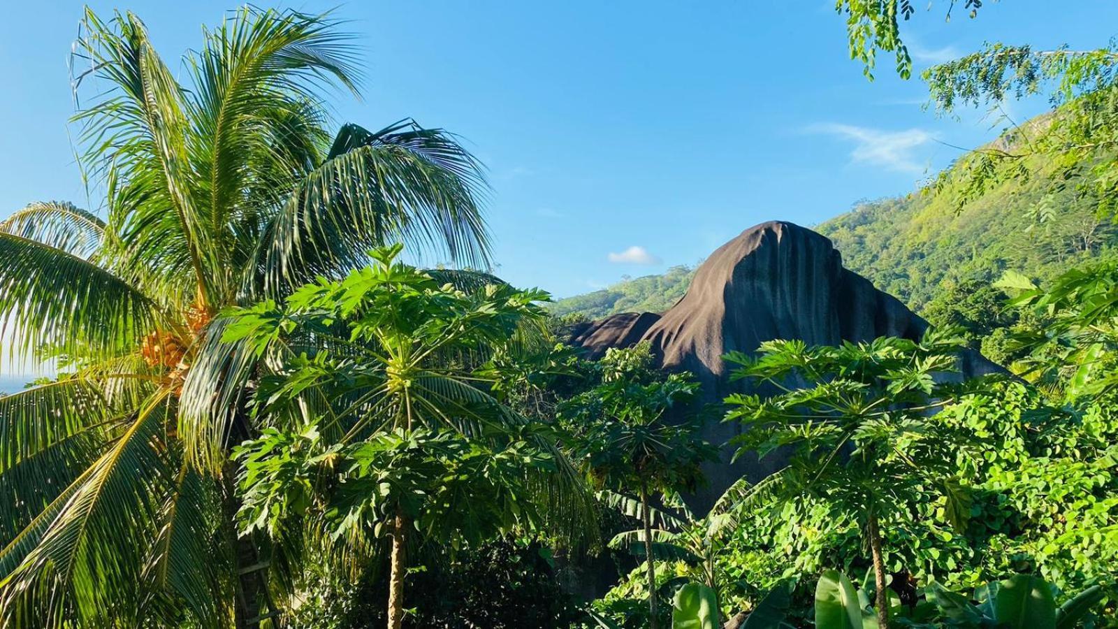 Josies Cottage Beau Vallon  Luaran gambar
